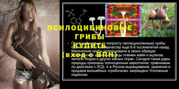 гашик Армянск